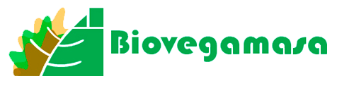 Biovegamasa Procesadora De Madera